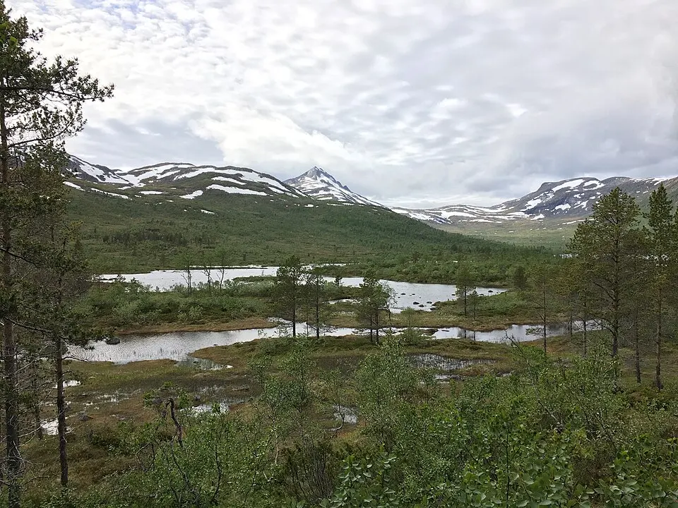 Ånderdalen National Park