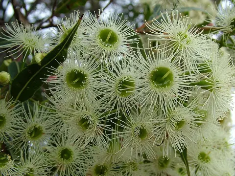 Hampton National Park