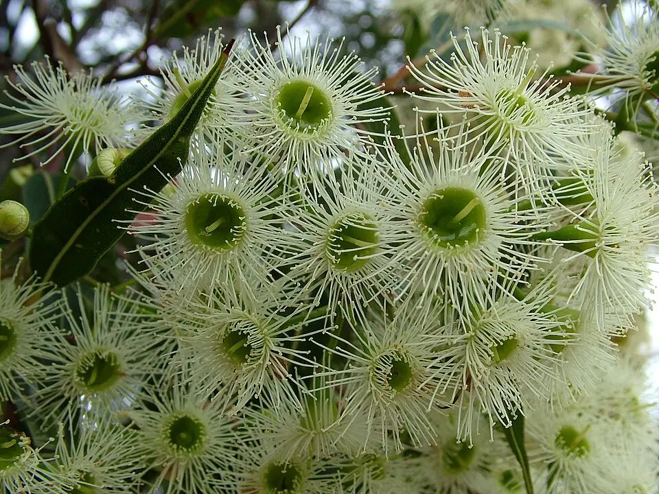 Hampton National Park