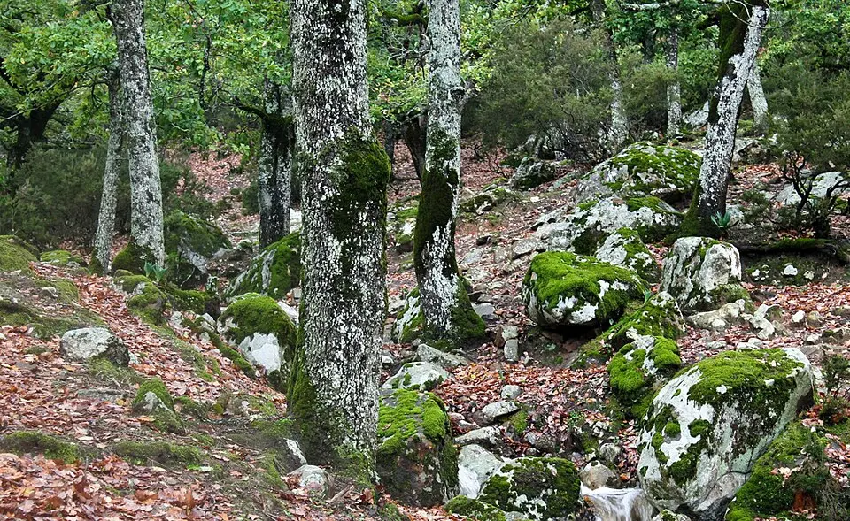 El Feidja National Park