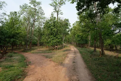 Pench National Park