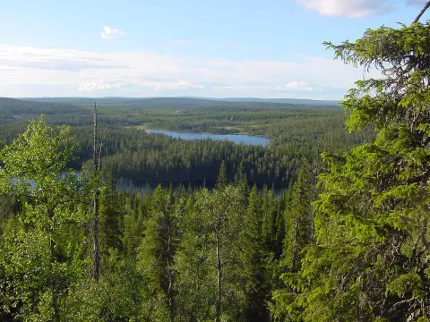 Riisitunturi National Park