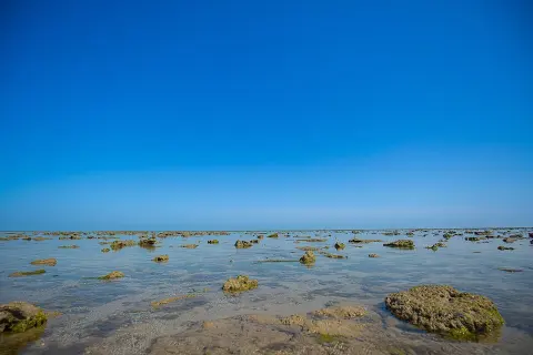 Marine National Park, Gulf of Kutch