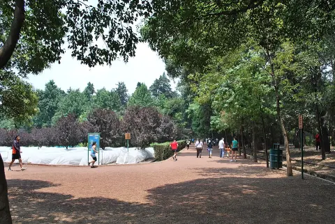 Viveros de Coyoacán