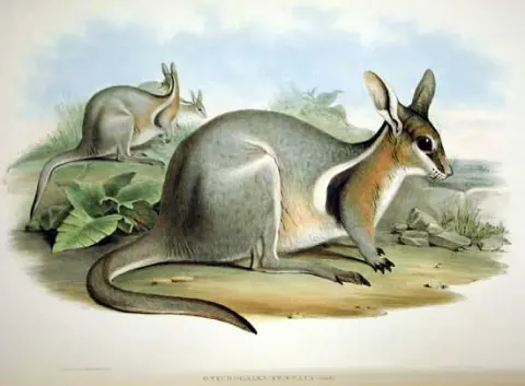 Taunton National Park