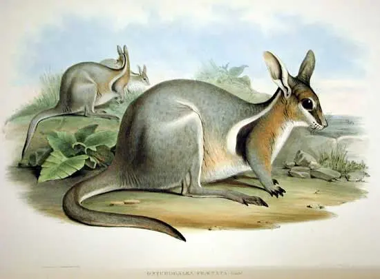 Taunton National Park