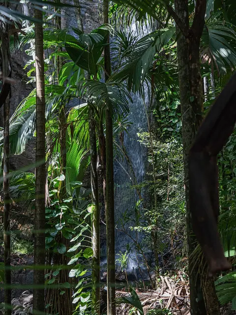 Praslin National Park