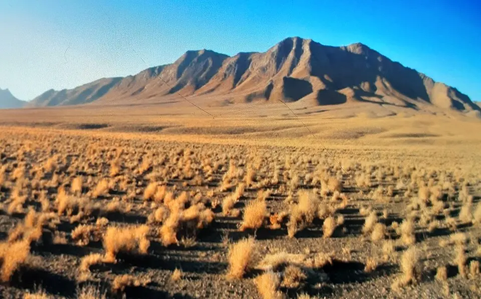 Qamishloo National Park