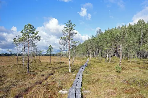 Pyhä-Häkki National Park