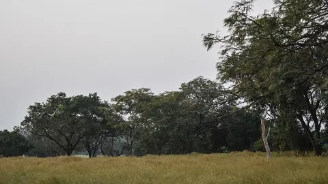 National Park of Upper Niger