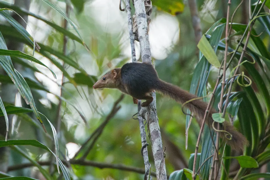 Campbell Bay National Park
