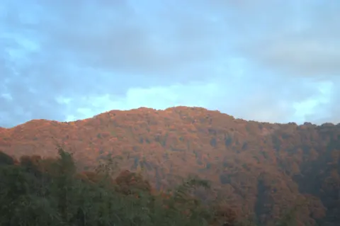 Neora Valley National Park