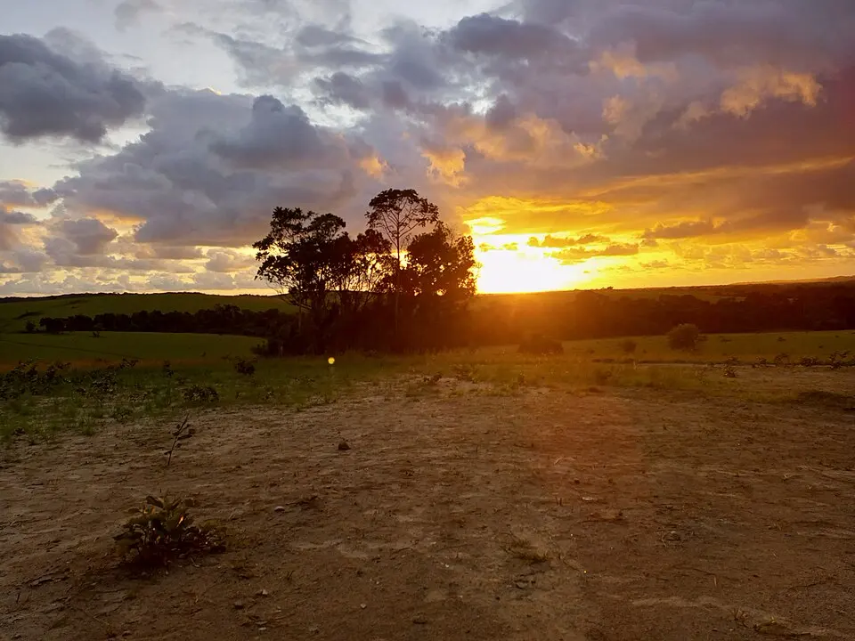 Conkouati-Douli National Park