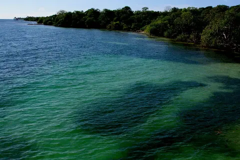 Rosario and San Bernardo Corals National Natural Park