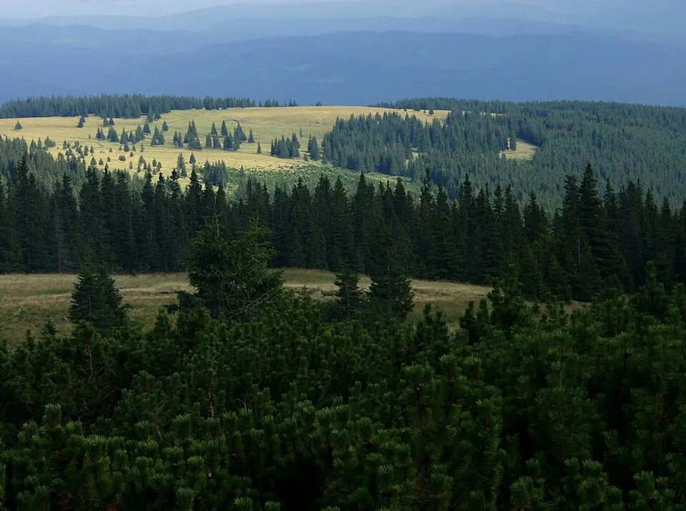 Călimani National Park