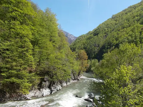 Defileul Jiului National Park