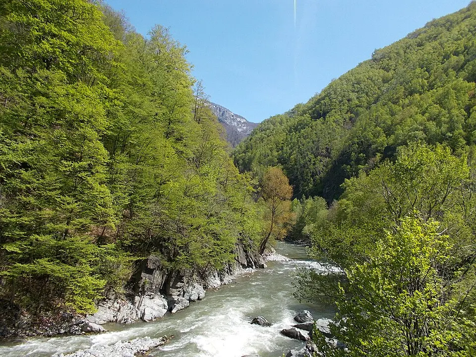 Defileul Jiului National Park