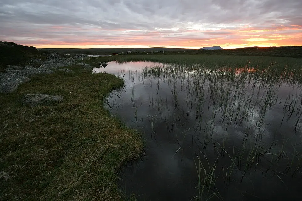 Anárjohka National Park
