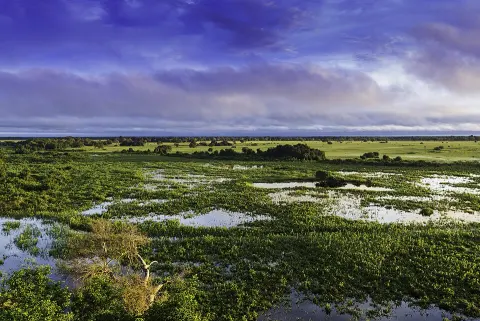 Pantanal Matogrossense National Park