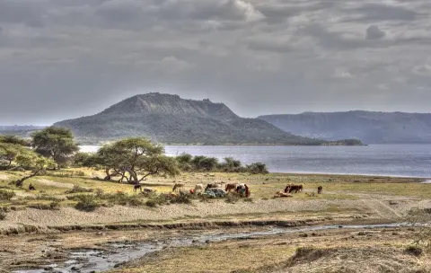 Abijatta-Shalla National Park