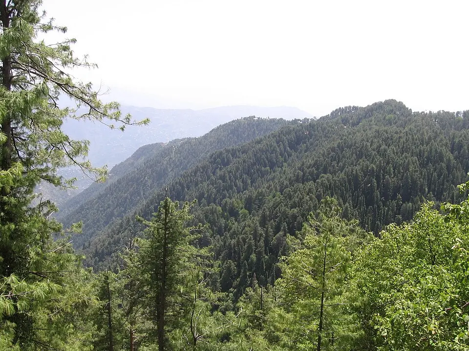 Ayubia National Park