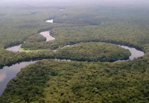 Salonga National Park