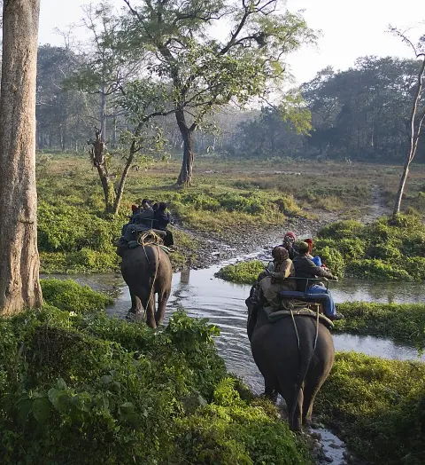 Jaldapara National Park