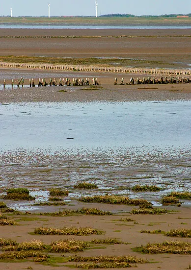 Wadden Sea National Park