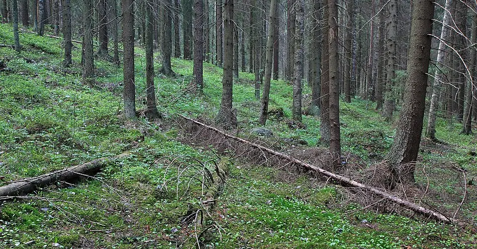 Sipoonkorpi National Park