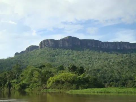Parima-Tapirapecó National Park