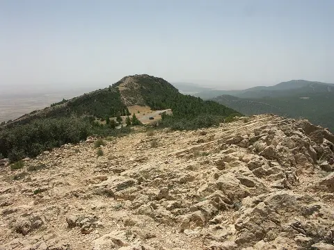 Chambi National Park