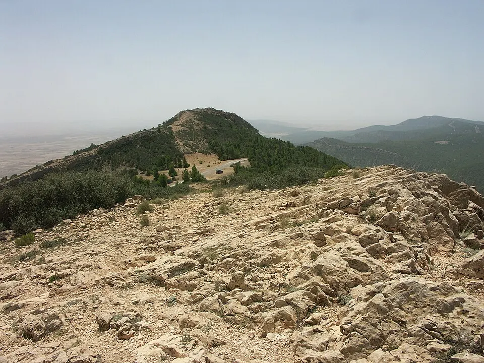 Chambi National Park