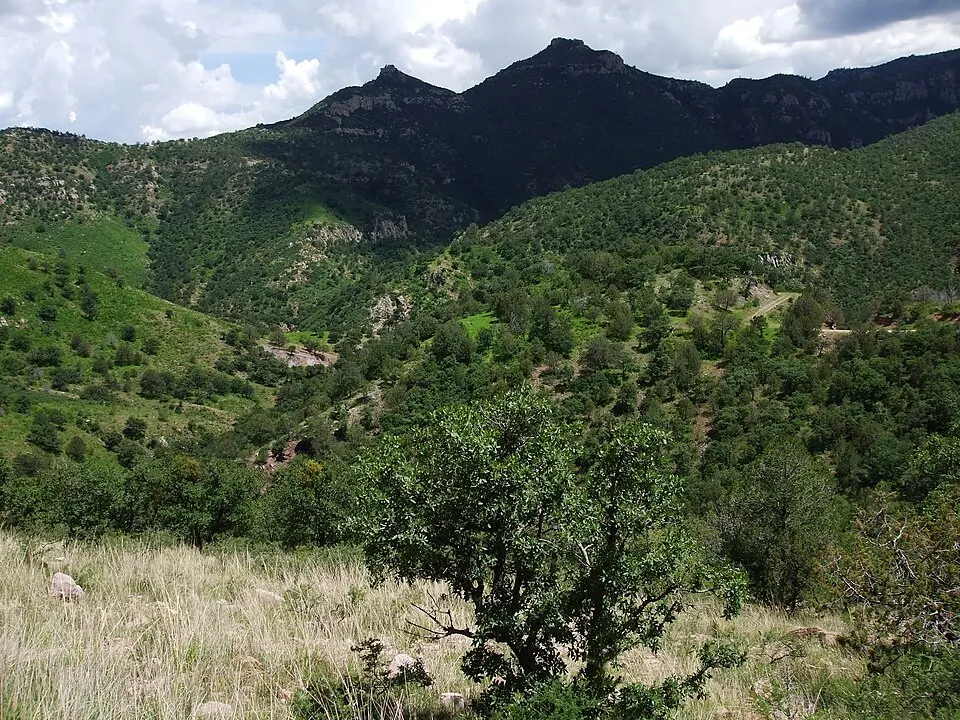 Cumbres de Majalca National Park