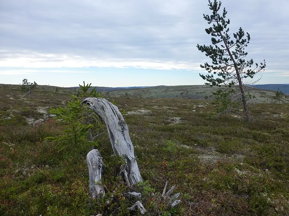 Fulufjellet National Park