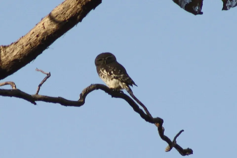 Gugamal National Park