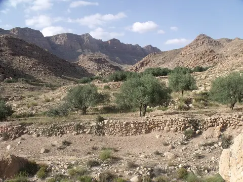 Jebel Orbata National Park
