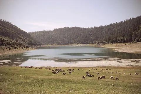 Khenifra National Park