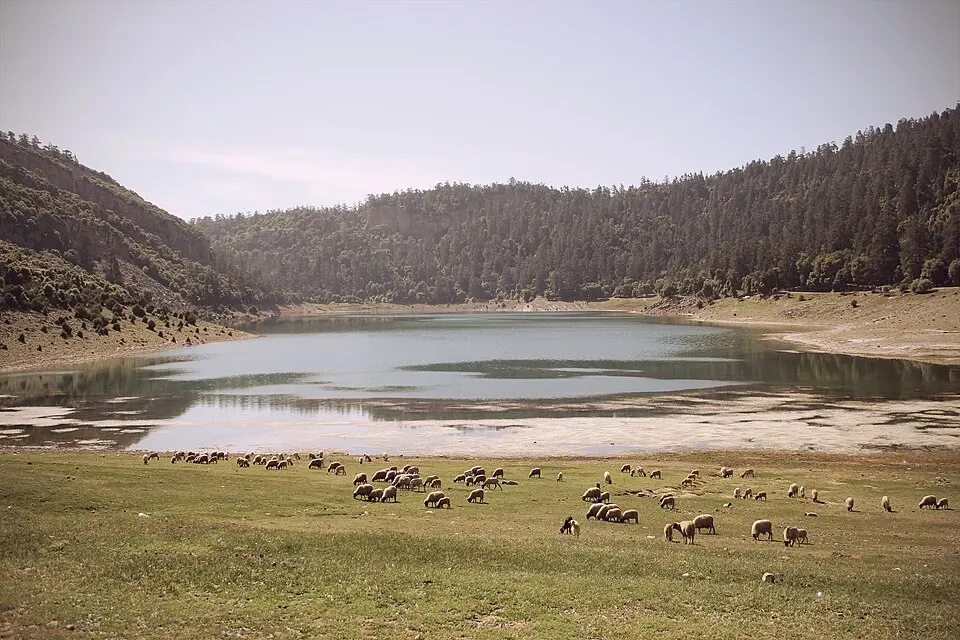 Khenifra National Park