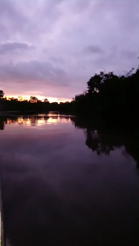 Sanquianga National Natural Park