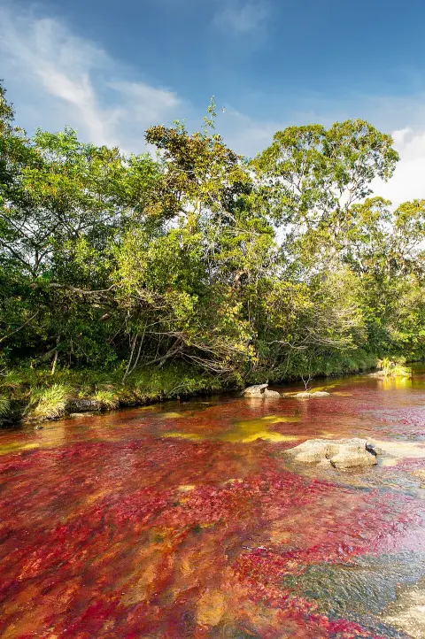 Tinigua National Natural Park