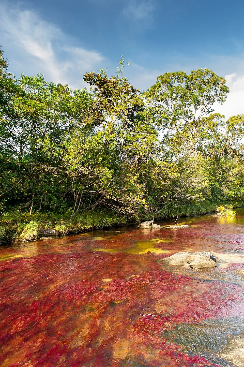 Tinigua National Natural Park