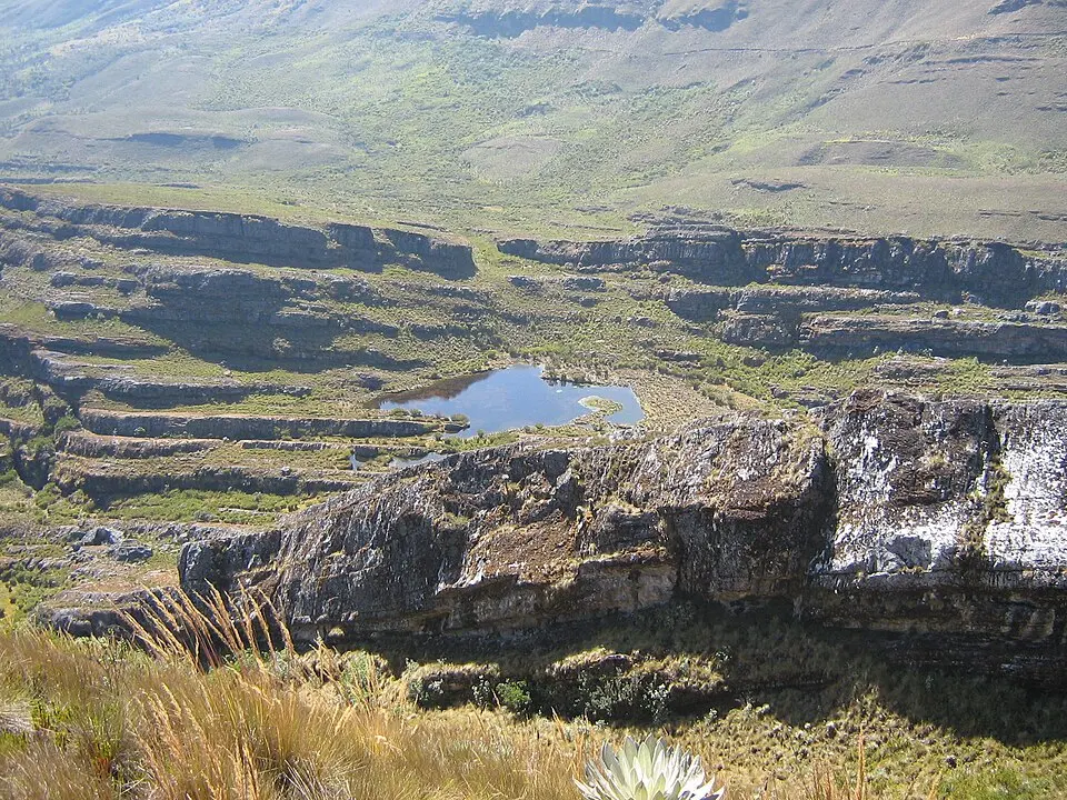 Cordillera de los Picachos National Natural Park