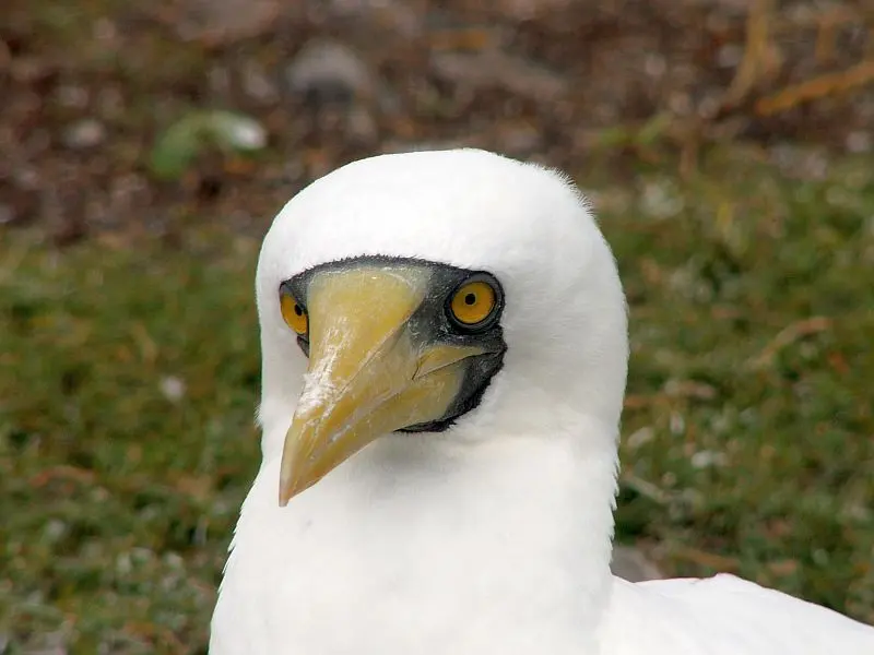Northumberland Islands National Park