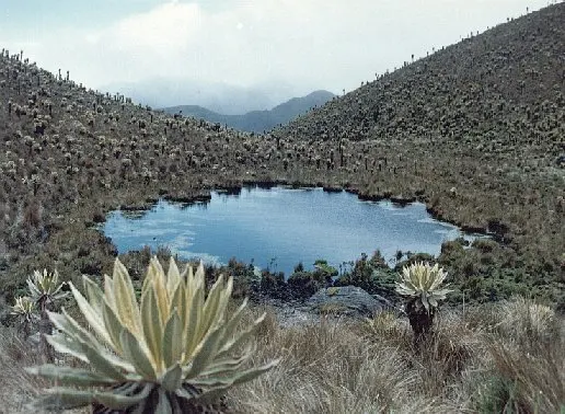 Las Hermosas National Natural Park