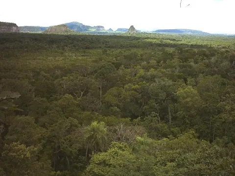 Cerro Cora National Park