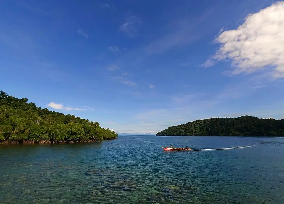 Teluk Cenderawasih National Park