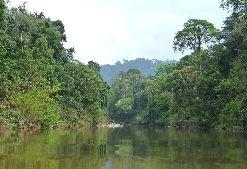 Endau-Rompin National Park