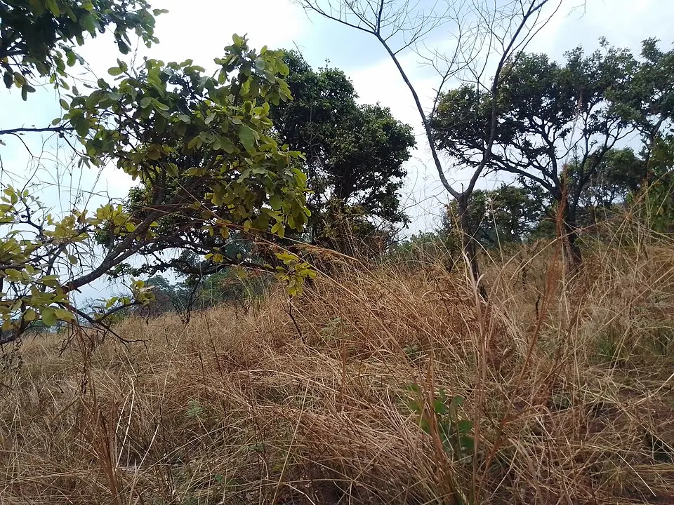Ruvubu National Park