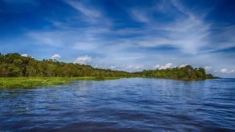Amazônia National Park