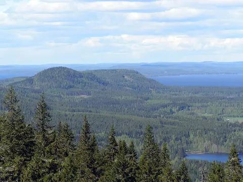 Koli National Park